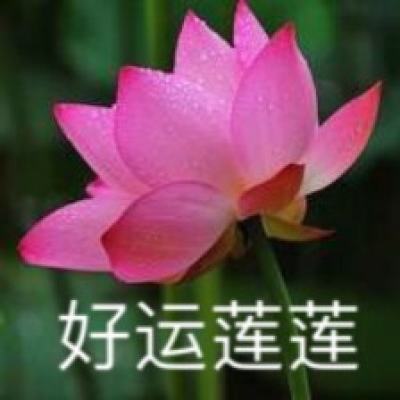 使魔计划中文版下载